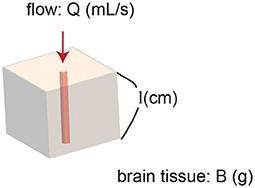 A Novel Proposal for an Index for Regional Cerebral Perfusion Pressure – A Theoretical Approach Using Fluid Dynamics